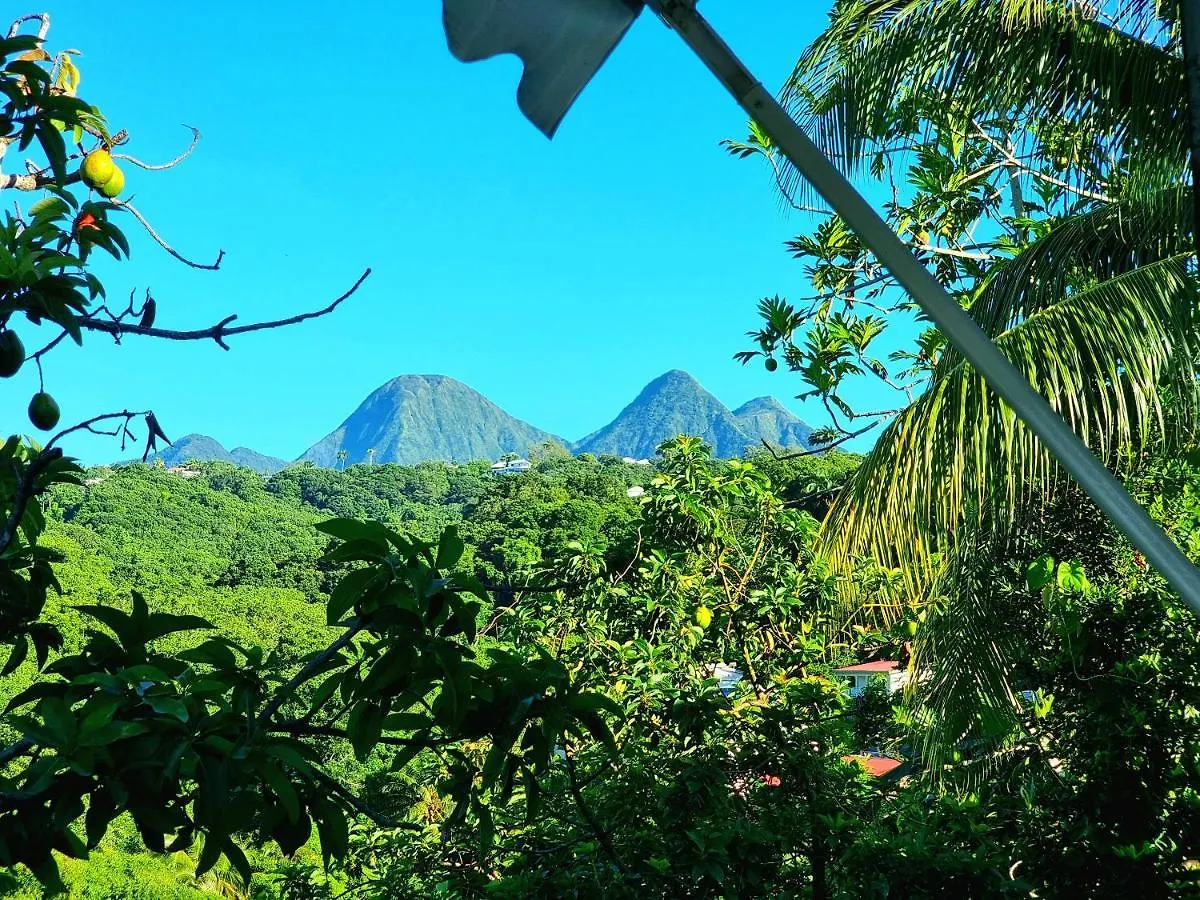 Appartement Confortable A Fort De France Avec Vue Sur La Mer Et La Montagne