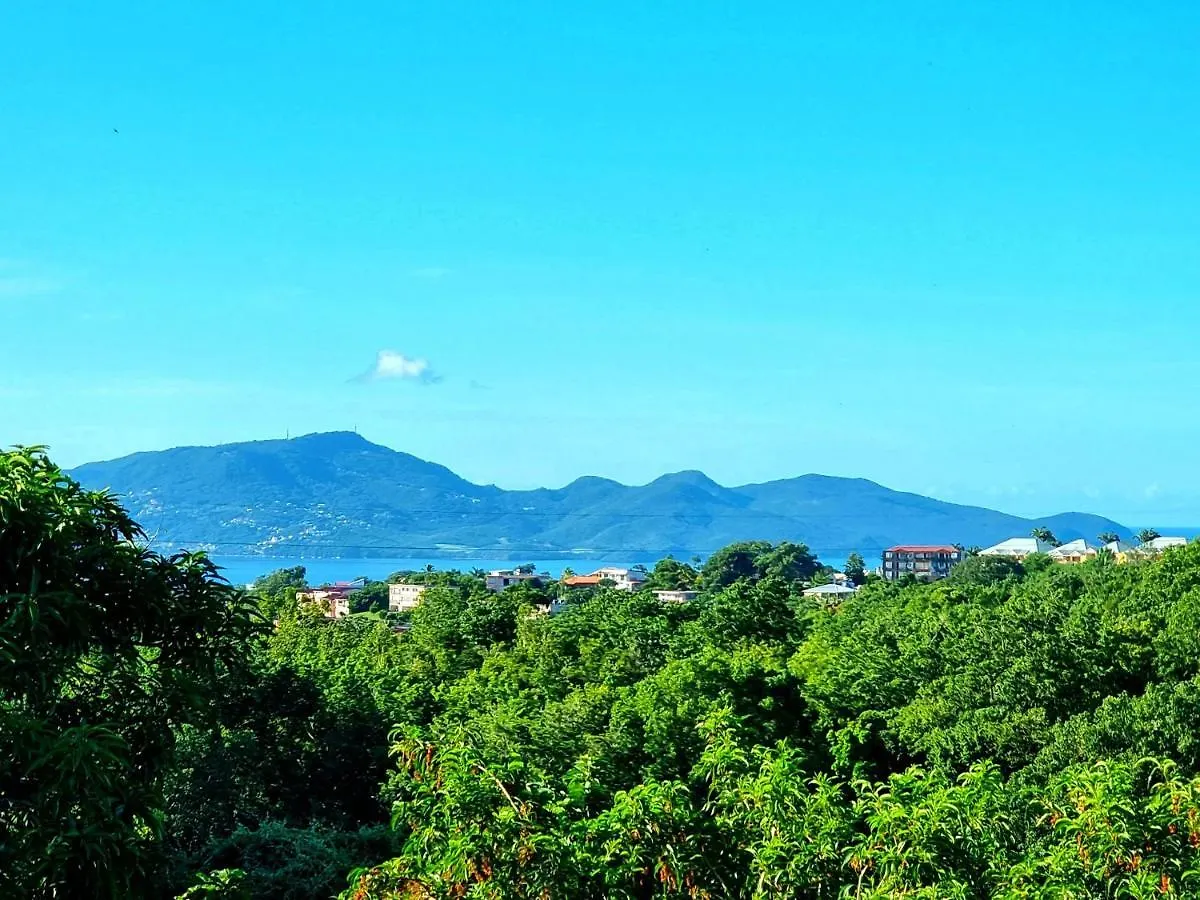 Appartement Confortable A Fort De France Avec Vue Sur La Mer Et La Montagne Fort-de-France